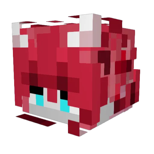 5h1ki Minecraft avatar head, 3D render