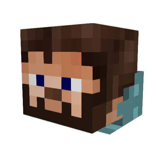5hadowAssassin Minecraft avatar head, 3D render