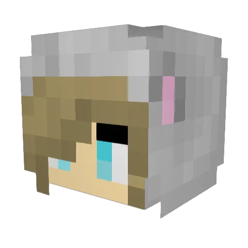 5hebe Minecraft avatar head, 3D render