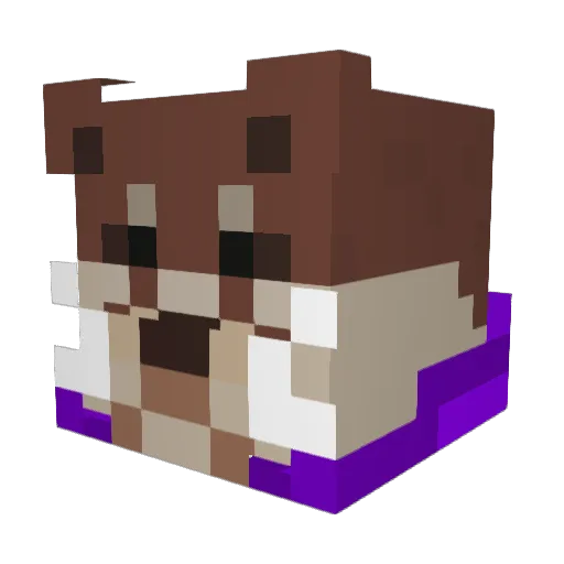 5i1v3rf0x Minecraft avatar head, 3D render