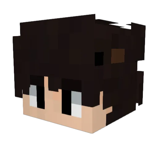 5in6 Minecraft avatar head, 3D render