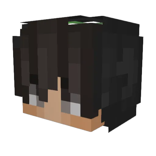 5jzq Minecraft avatar head, 3D render