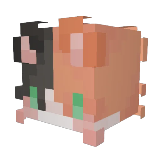 5k0y5 Minecraft avatar head, 3D render