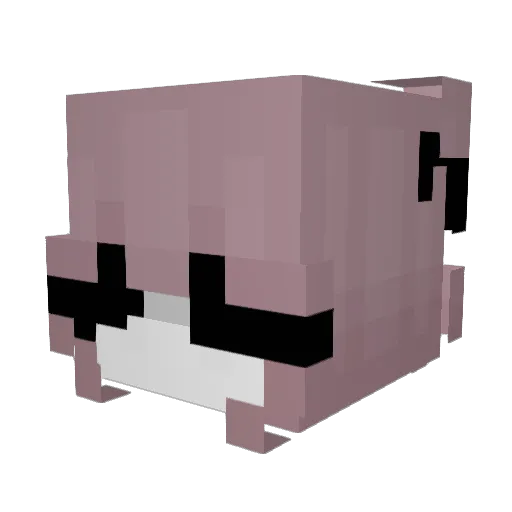 5lly Minecraft avatar head, 3D render