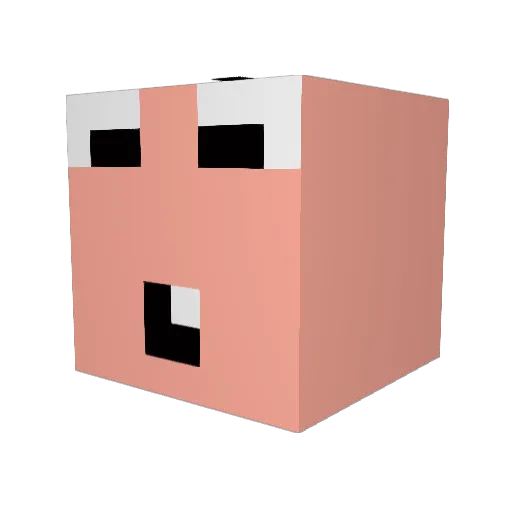 5o1 Minecraft avatar head, 3D render