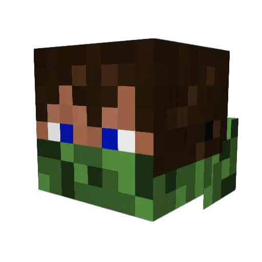 5ock3 Minecraft avatar head, 3D render