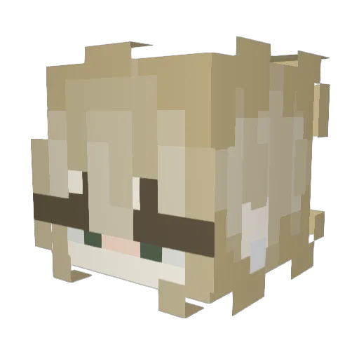 5oj6 Minecraft avatar head, 3D render