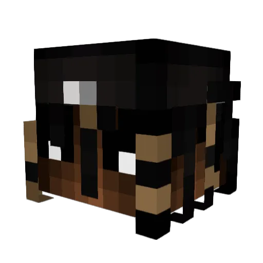 5ome1 Minecraft avatar head, 3D render