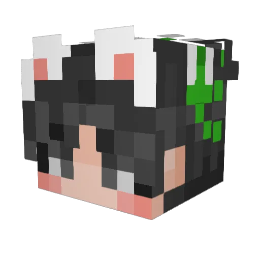 5ooo Minecraft avatar head, 3D render