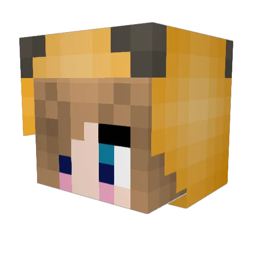 5p1d3r5 Minecraft avatar head, 3D render