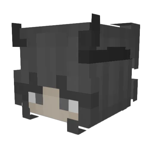 5pat Minecraft avatar head, 3D render
