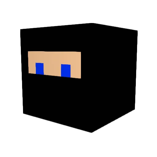 5pl1t Minecraft avatar head, 3D render
