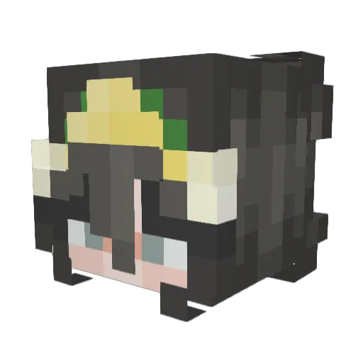 5popi5 Minecraft avatar head, 3D render