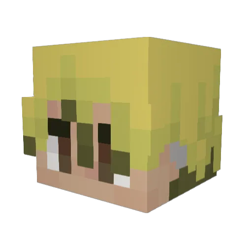 5qf_ Minecraft avatar head, 3D render