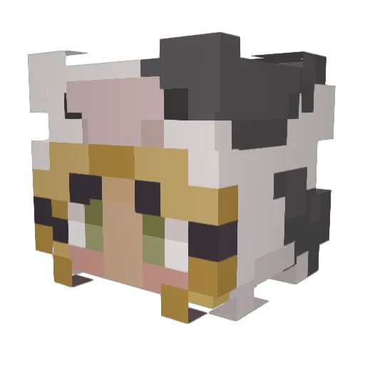 5rin2 Minecraft avatar head, 3D render