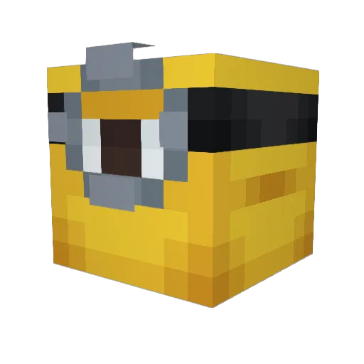 5robin4 Minecraft avatar head, 3D render