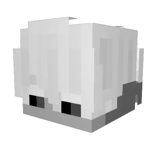 5rost Minecraft avatar head, 3D render