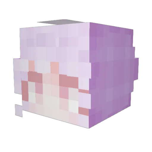 5somini Minecraft avatar head, 3D render