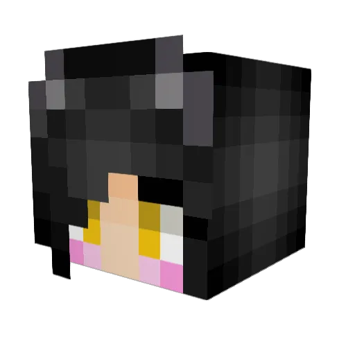 5sosfam Minecraft avatar head, 3D render