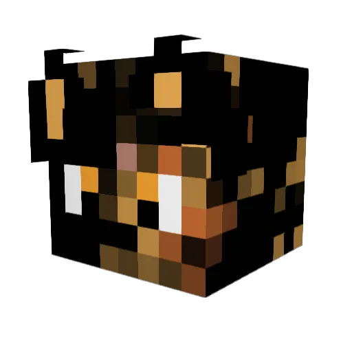 5tar5tuff Minecraft avatar head, 3D render