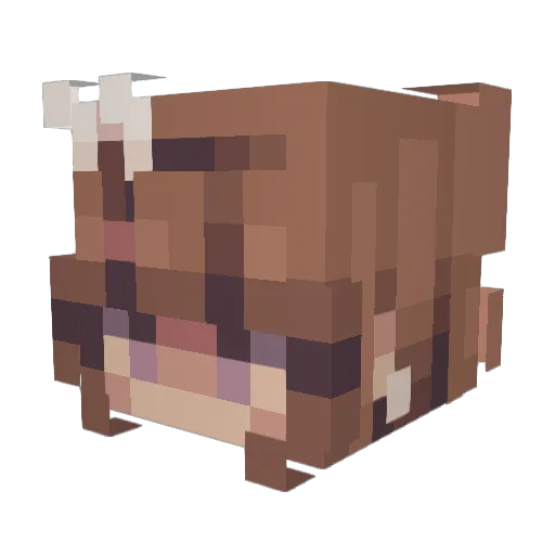 5tarfish78 Minecraft avatar head, 3D render