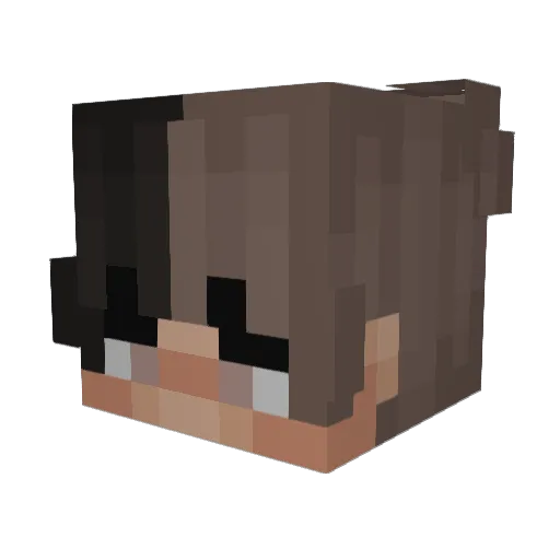 5tarry Minecraft avatar head, 3D render
