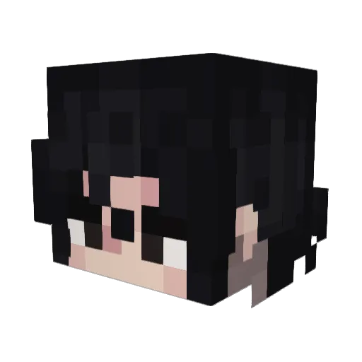 5thSymphony Minecraft avatar head, 3D render