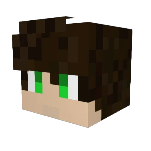 5th_Doctor Minecraft avatar head, 3D render