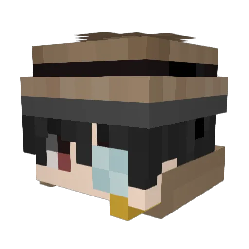 5tolenAccountBan Minecraft avatar head, 3D render