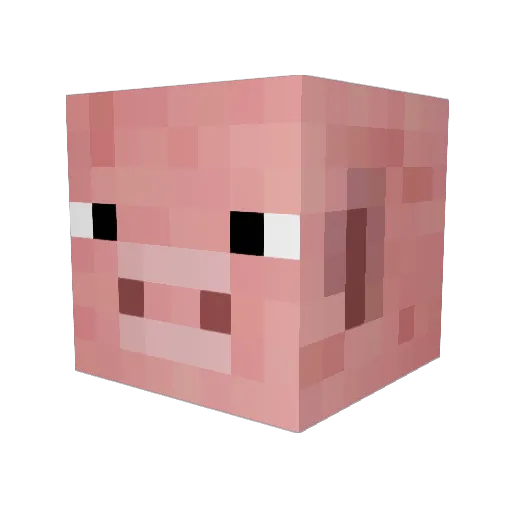 5unb3am Minecraft avatar head, 3D render