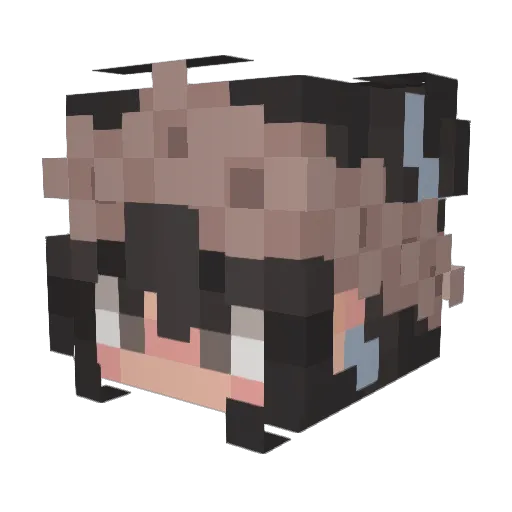 5uncita Minecraft avatar head, 3D render