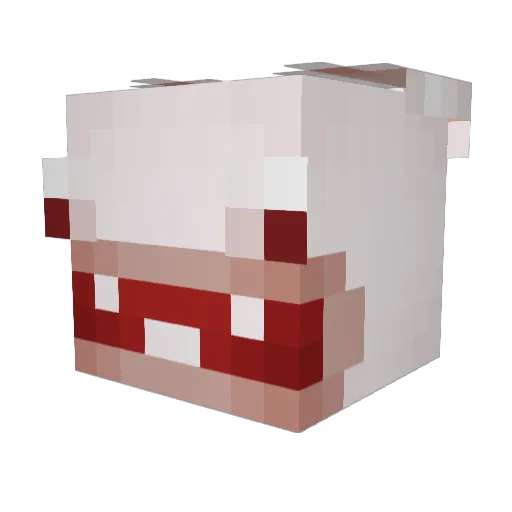 5v7_ Minecraft avatar head, 3D render