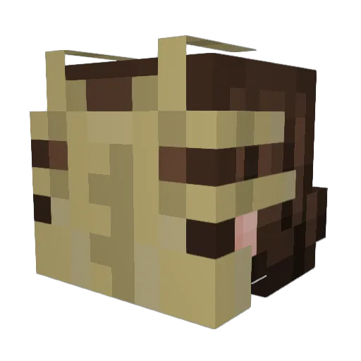 5w3rv05 Minecraft avatar head, 3D render