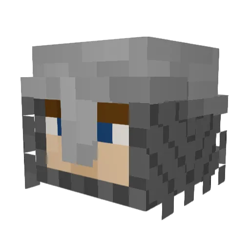 5wans0ns Minecraft avatar head, 3D render