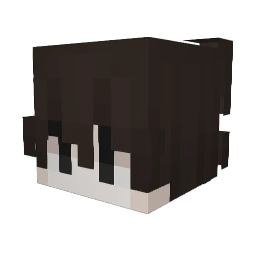 5wgy Minecraft avatar head, 3D render