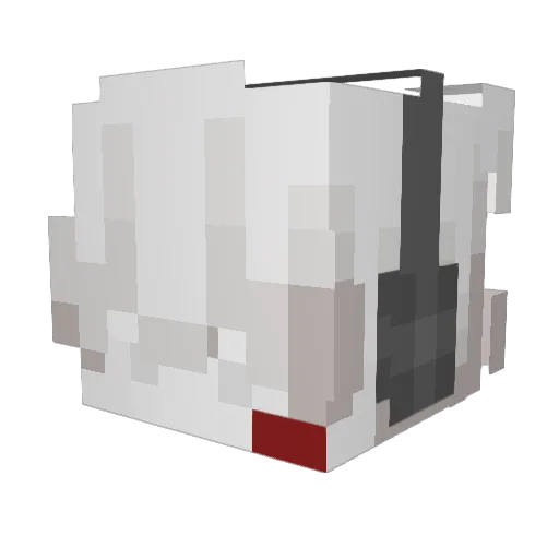 5woof Minecraft avatar head, 3D render