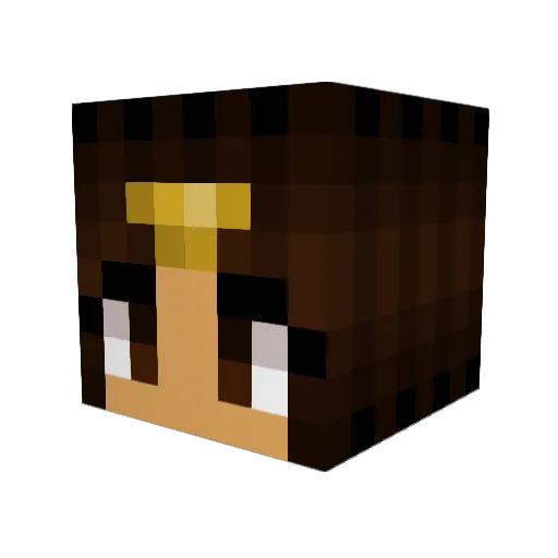 5xN Minecraft avatar head, 3D render