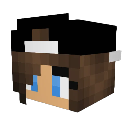 5zzzz Minecraft avatar head, 3D render