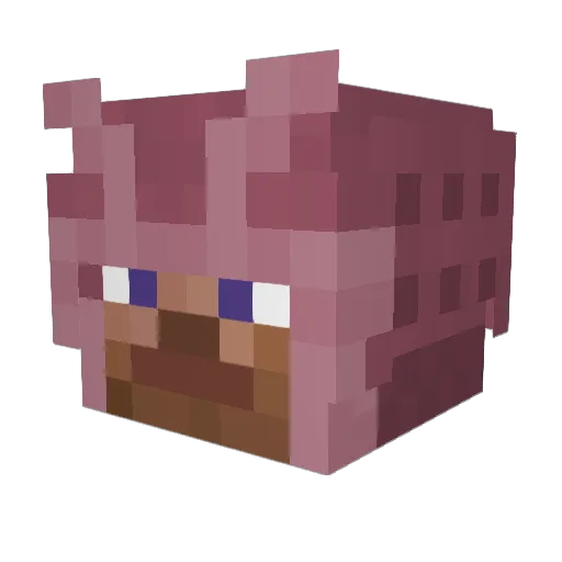 600Breezy Minecraft avatar head, 3D render