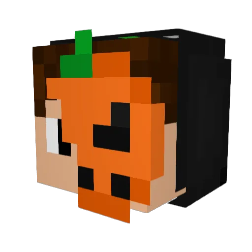 60_fps_kappa Minecraft avatar head, 3D render