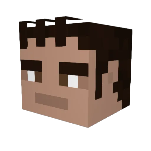 616DOCTOR Minecraft avatar head, 3D render