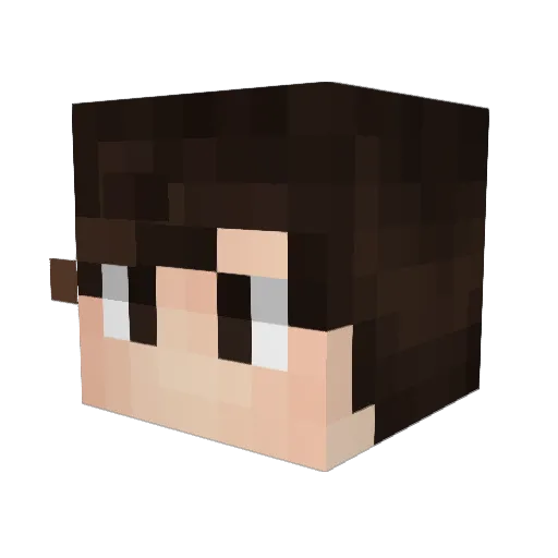 61Melisa_GS_K Minecraft avatar head, 3D render