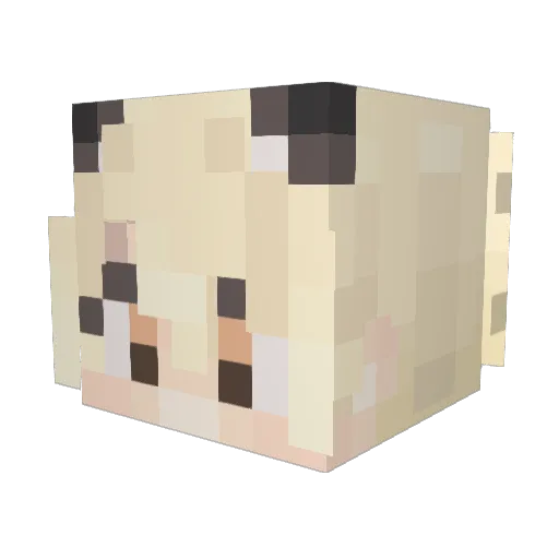 63tanuki Minecraft avatar head, 3D render