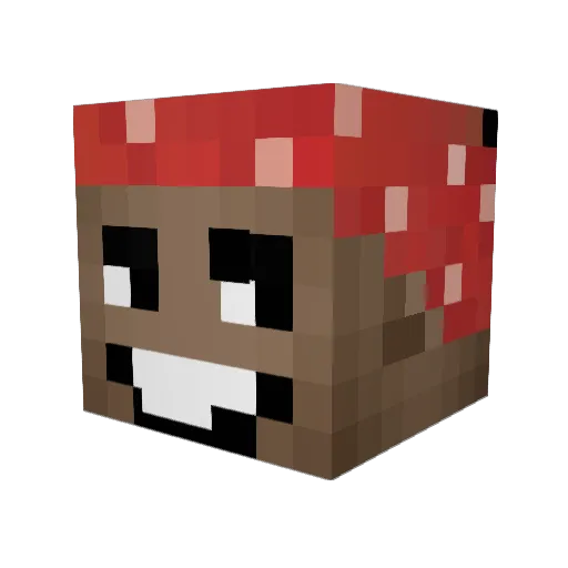 64Evolution Minecraft avatar head, 3D render