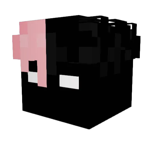 64O0 Minecraft avatar head, 3D render