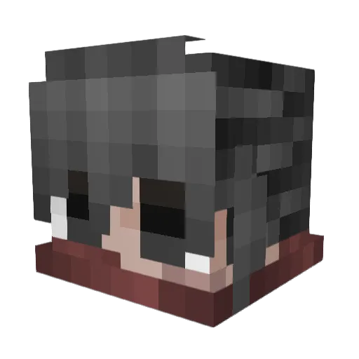 666606 Minecraft avatar head, 3D render