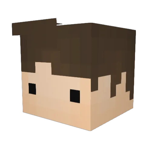 6666699999 Minecraft avatar head, 3D render
