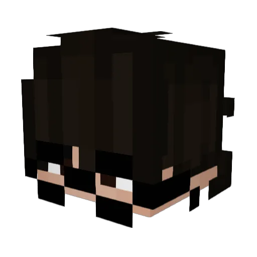 666ARGO666 Minecraft avatar head, 3D render