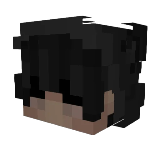666Crash Minecraft avatar head, 3D render