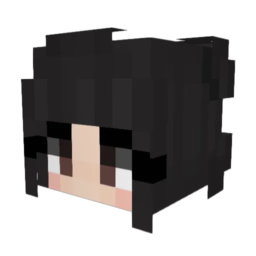 666Emlay666 Minecraft avatar head, 3D render